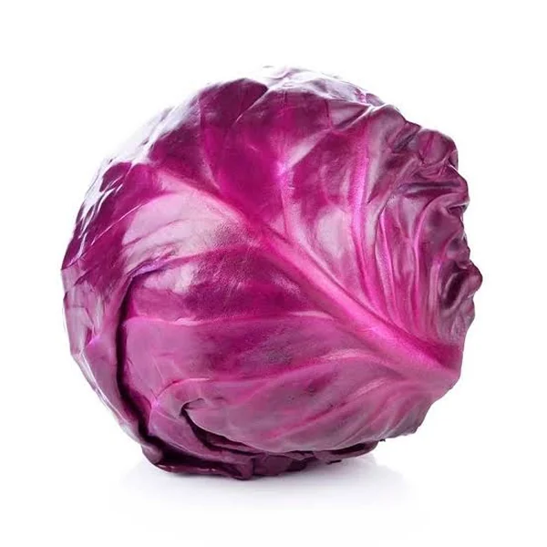 Repolho Roxo