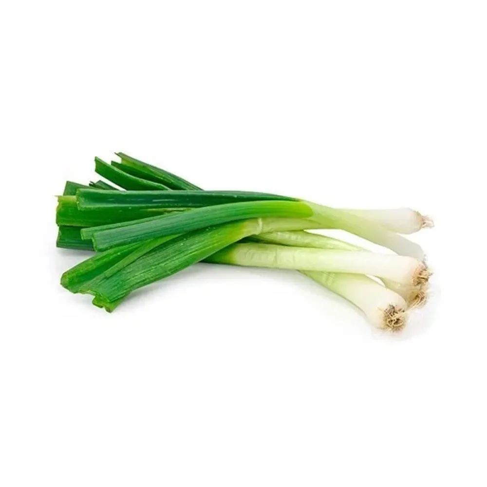 Cebola Verde