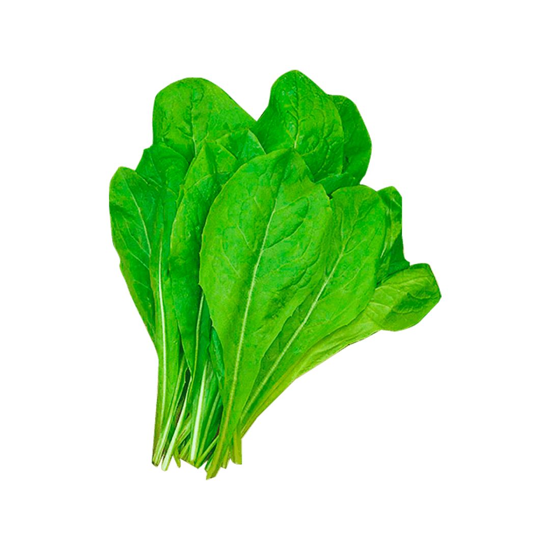 Espinafre