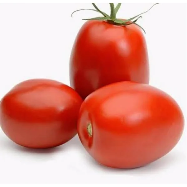 Tomate Italiano